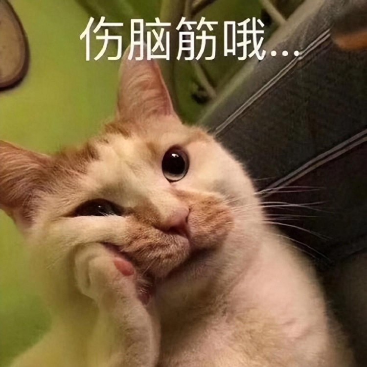 悄悄告诉你,你所饲养的猫咪,就能透露了你的性格