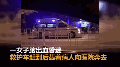 主人突发脑溢血被送医金毛一路狂奔竟追了十二公里